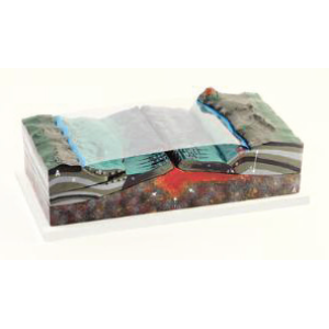 Interactive Plate Tectonics Model