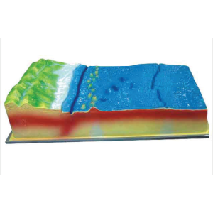 Model of plate structure and surface morphology