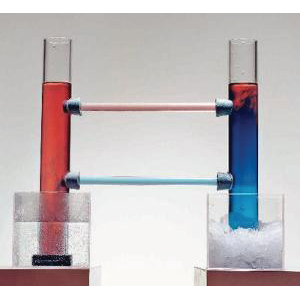 Oceanic Circulation Model