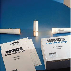 Star Magnitudes Lab Activity