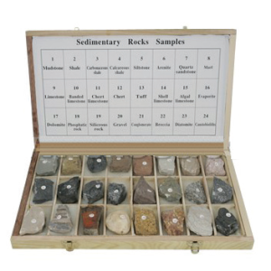 Sedimentary Rock Sample Set of 24