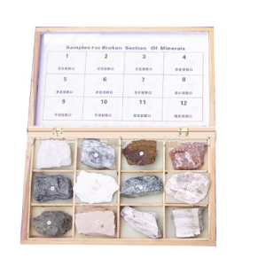 Broken Section of Minerals Sample Set of 12