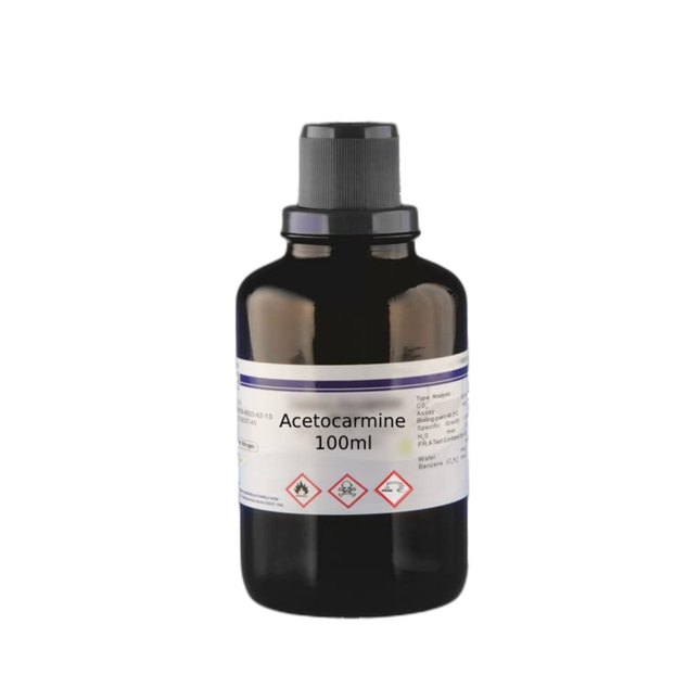 100ml Acetocarmine