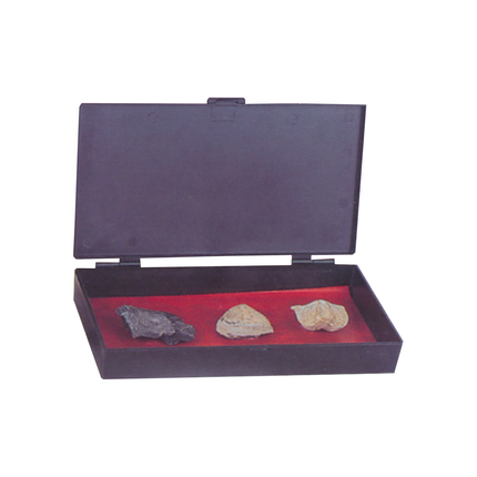 Fossil