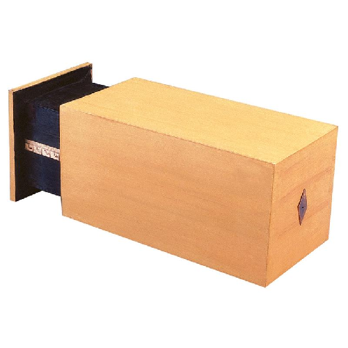 Pinnhole Camera Pinhole Camera – Vision International Medical & Scientific Supplies