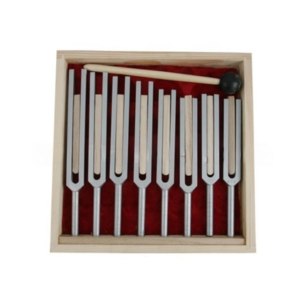 Tunning Forks Set