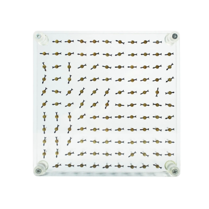 Magnetic Field Demo Board (with small magnetic needles)