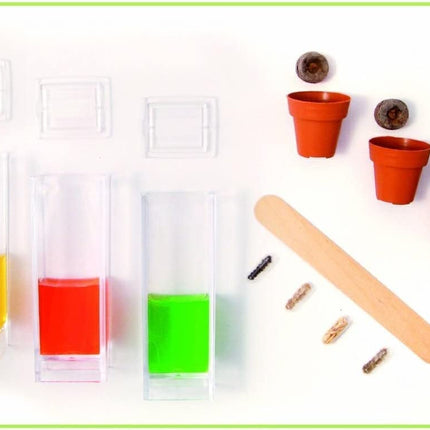 The Original Plantarium Super Educational Kit