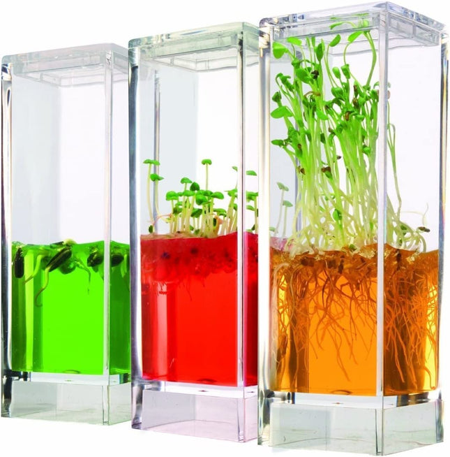 The Original Plantarium Super Educational Kit