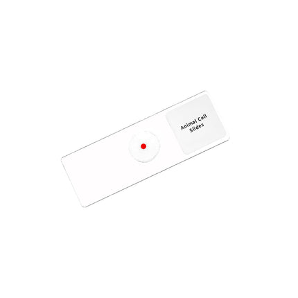 Animal Cell Microscope Slide