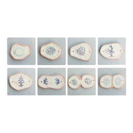 Anatomy Model of Mitosis Set of 8