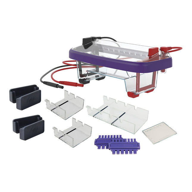 M12 Complete™ Electrophoresis Package