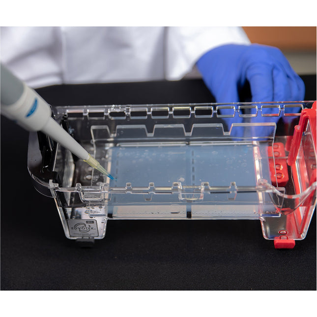 M12 Complete™ Electrophoresis Package