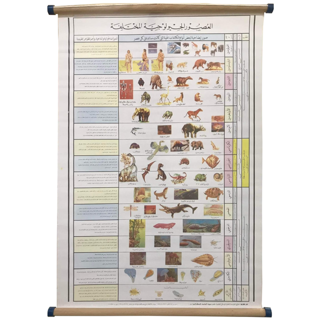 Different Geological Ages - العصــور الجيولوجيــة المختلفـــة