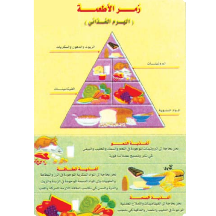 Food Pyramid Chart