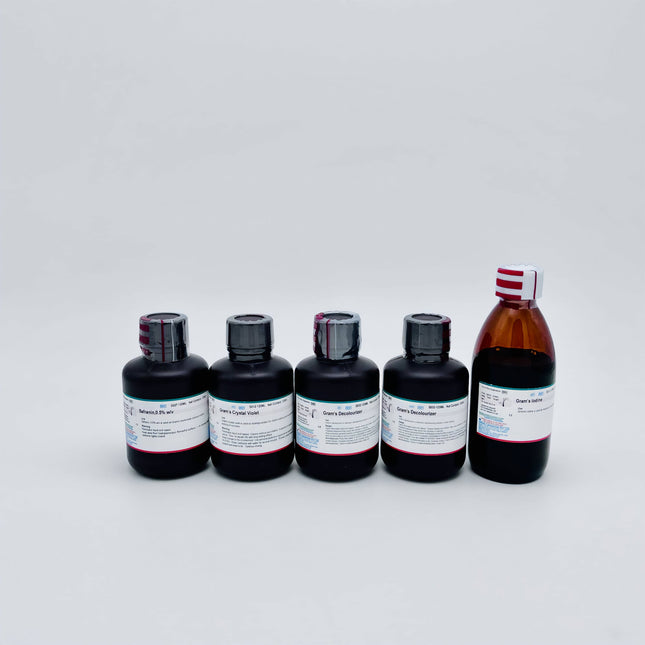 Gram Stain Kit