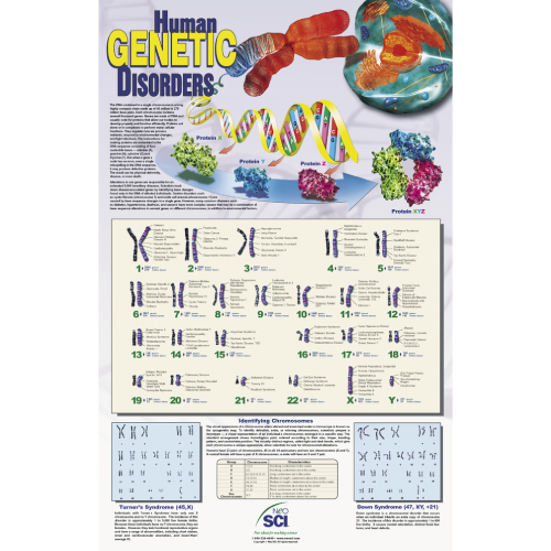 Human Genetic Disorders