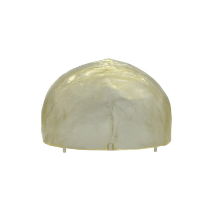 Transparent Human Skull Model with Removable Skull Cap