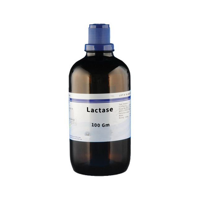 Lactase | 100g | Enzyme Powder for Laboratory Use