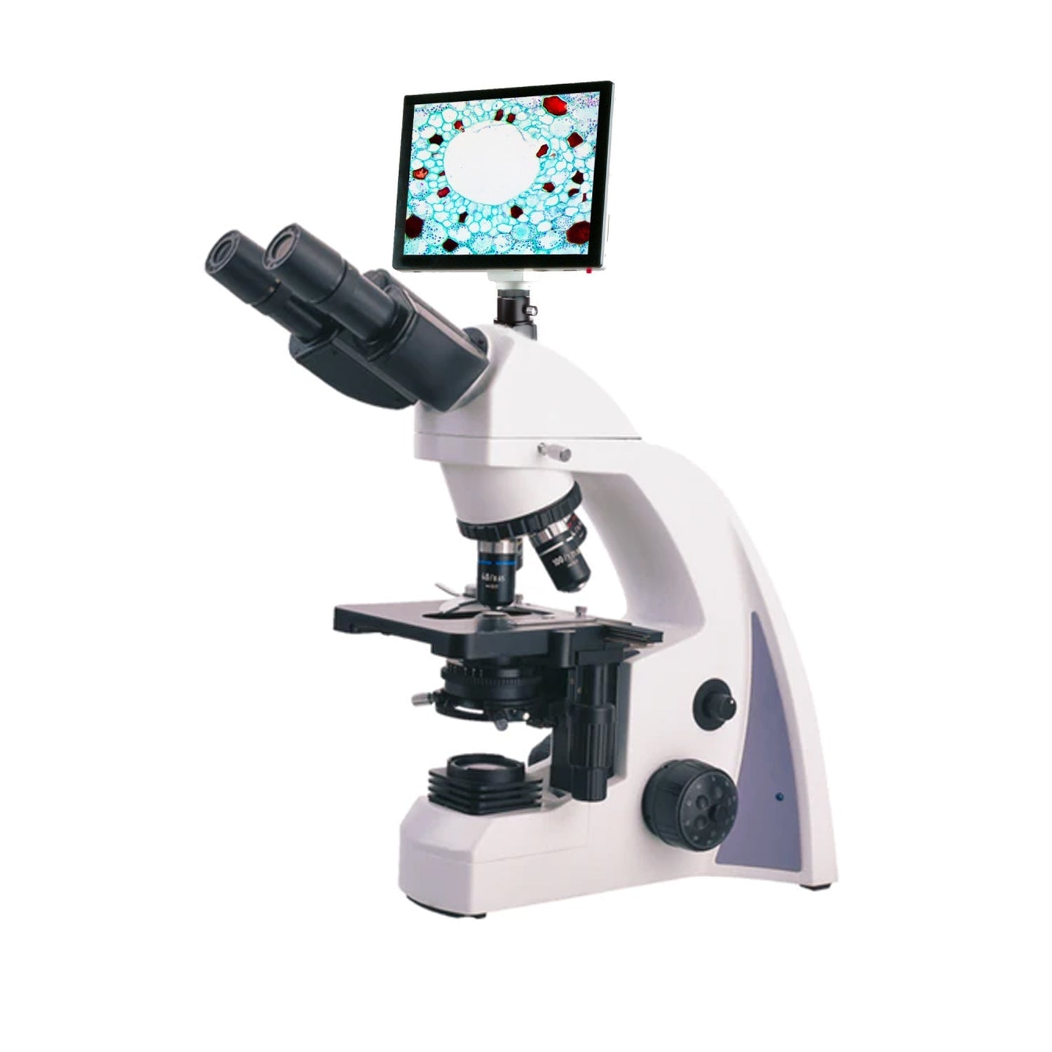 Microscope Check Color MICROSCOPE N-300M with Color Monitor – Vision International Medical ...