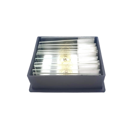 Microscopic Slides Set