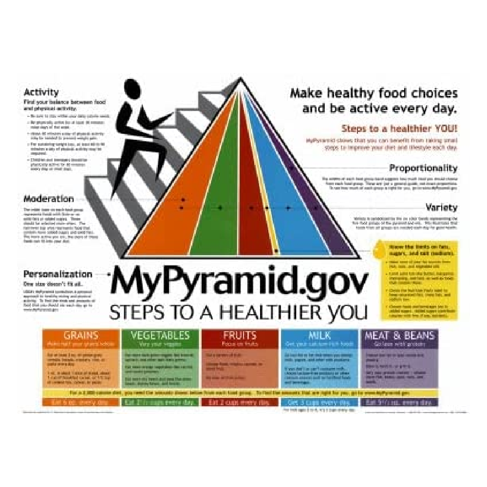 MyPyramid Chart – Vision International Medical & Scientific Supplies