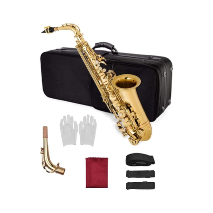 Griffin Deluxe Brass Saxophone Kit Gold Lacquer