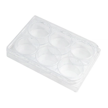 Tissue Culture Plate with Cover, 6 Holes, 12 Holes