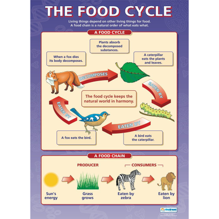 The Food Cycle