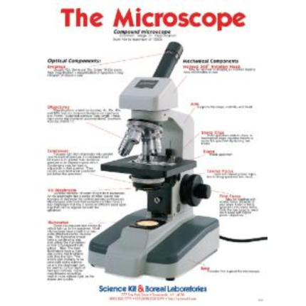 The Microscope