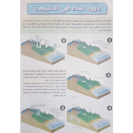 Water Cycle Chart without roller
